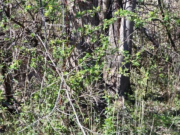 0.17 Acres of Land for Sale in Angola, New York