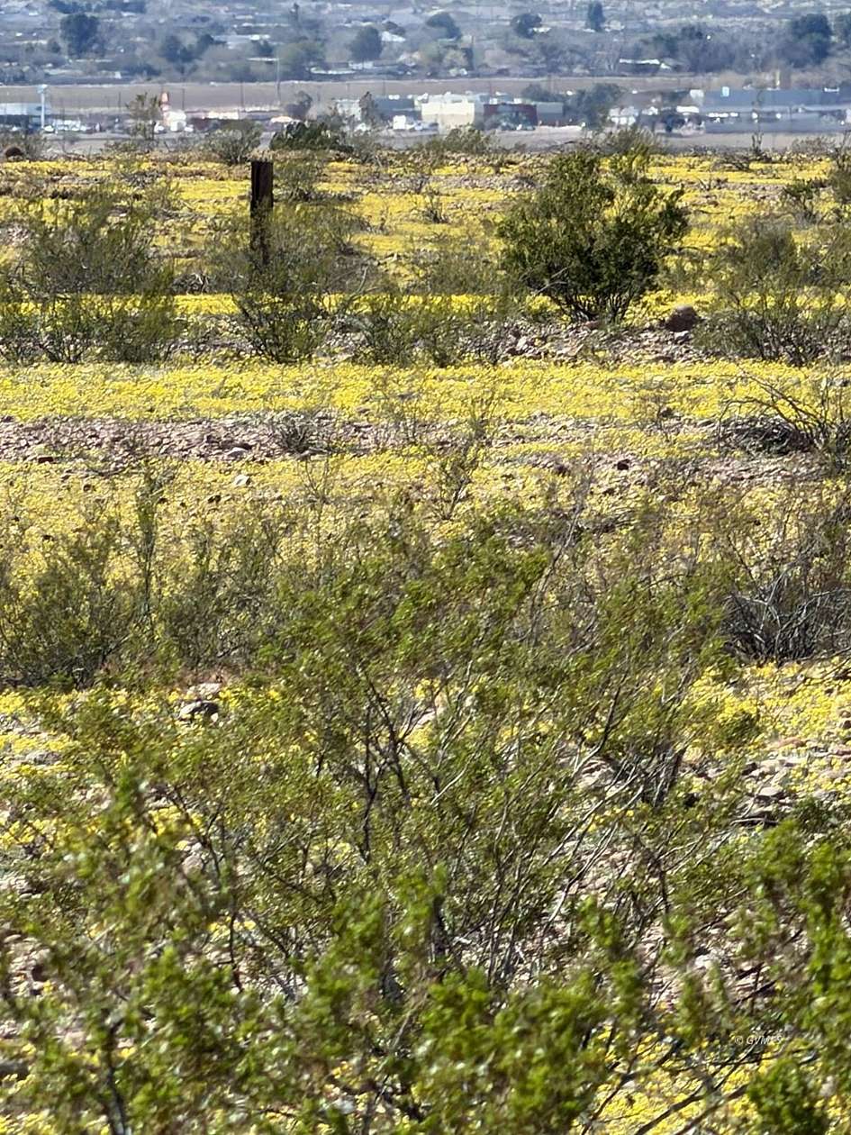 17.1 Acres of Land for Sale in Safford, Arizona