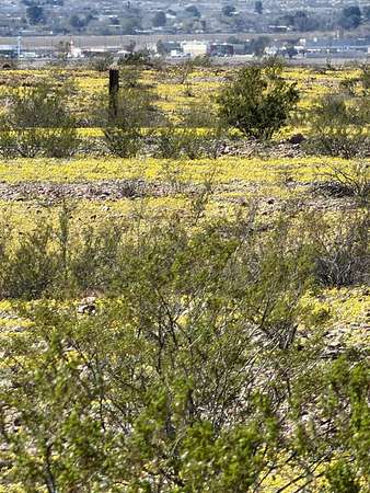 17.1 Acres of Land for Sale in Safford, Arizona