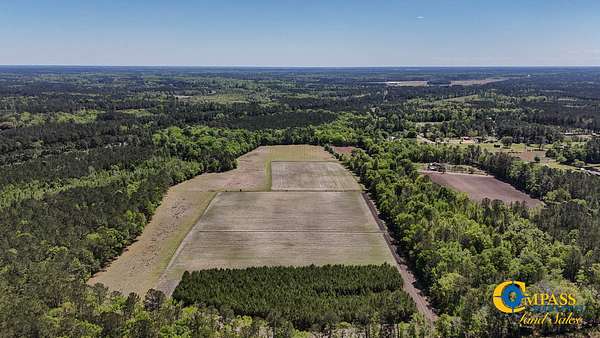 99 Acres of Land for Sale in Walterboro, South Carolina
