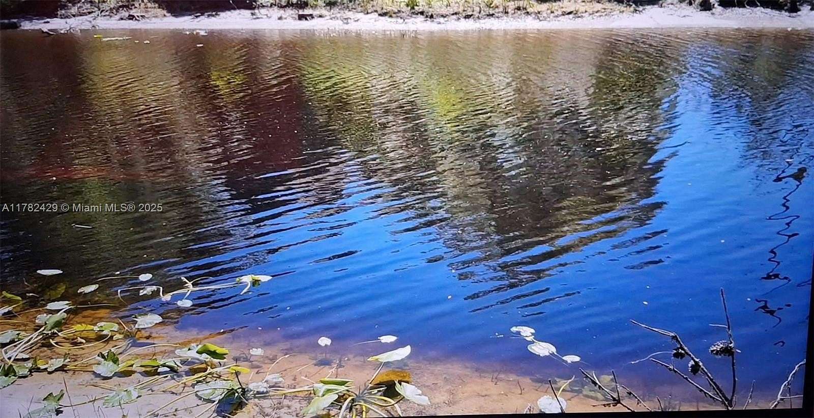 19.2 Acres of Agricultural Land for Sale in Ocala, Florida