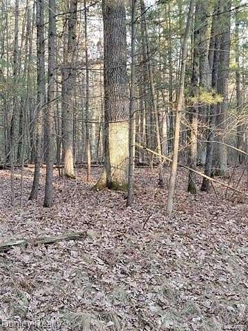 0.31 Acres of Residential Land for Sale in Gladwin, Michigan