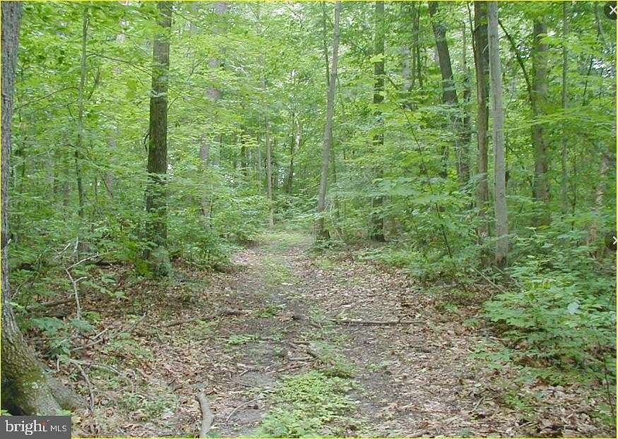 30.9 Acres of Land for Sale in Brandywine, Maryland