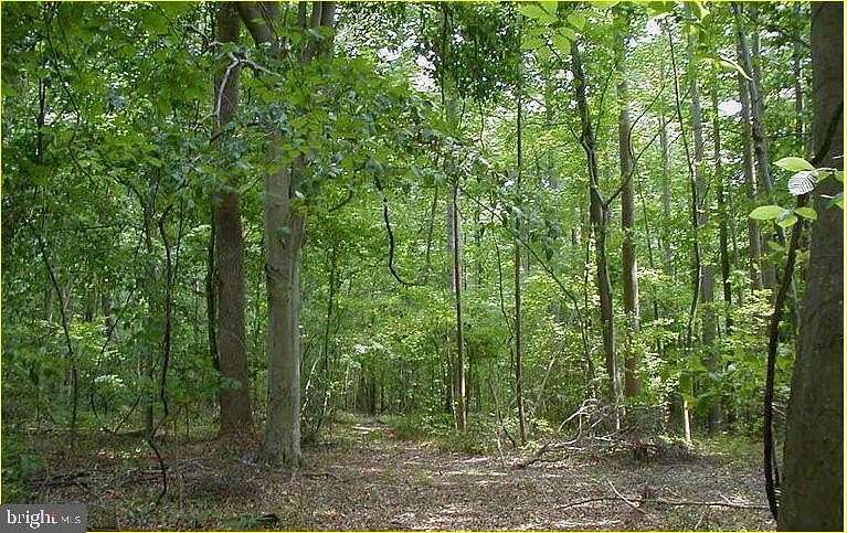 30.9 Acres of Land for Sale in Brandywine, Maryland