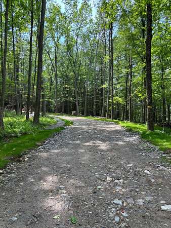 16 Acres of Land for Sale in Roxbury, Connecticut