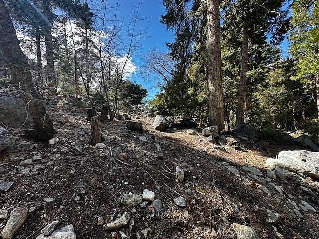 0.14 Acres of Land for Sale in Forest Falls, California