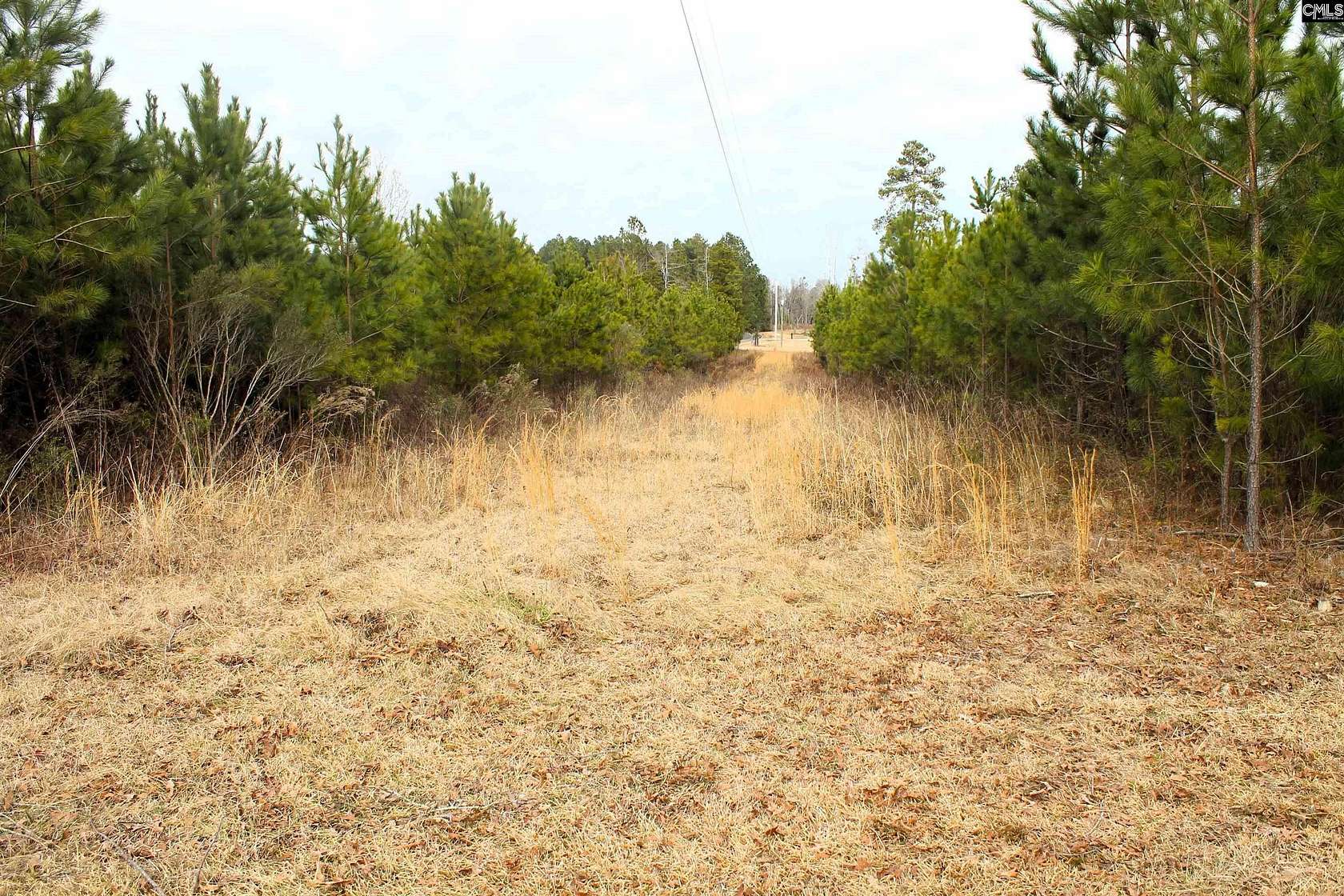 37.6 Acres of Recreational Land for Sale in Chapin, South Carolina