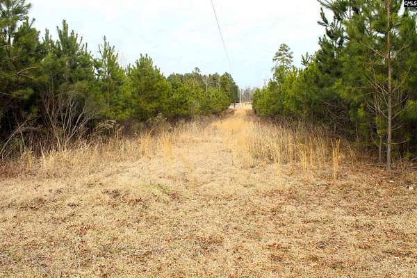 37.6 Acres of Recreational Land for Sale in Chapin, South Carolina