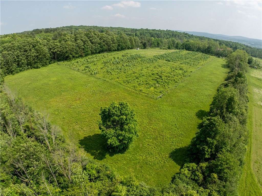 10 Acres of Residential Land for Sale in Ithaca, New York