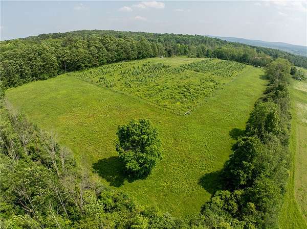 10 Acres of Residential Land for Sale in Ithaca, New York