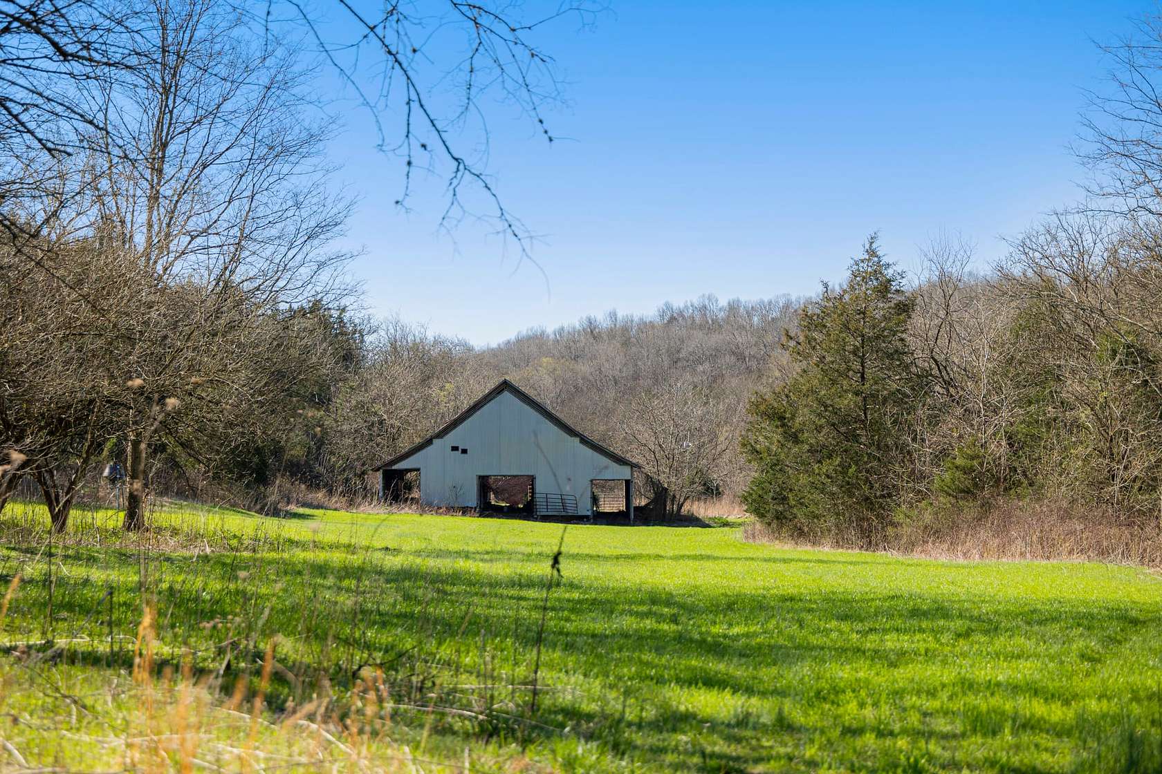 251 Acres of Agricultural Land for Sale in Cornersville, Tennessee