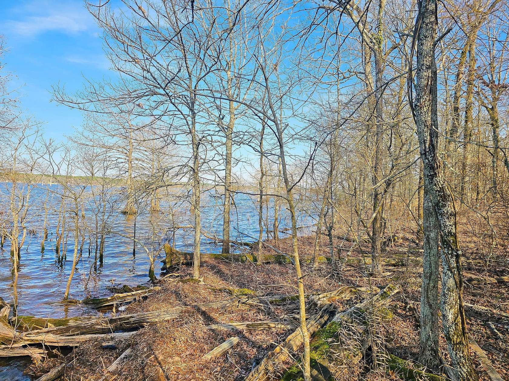 213 Acres of Recreational Land for Sale in Taylor, Arkansas