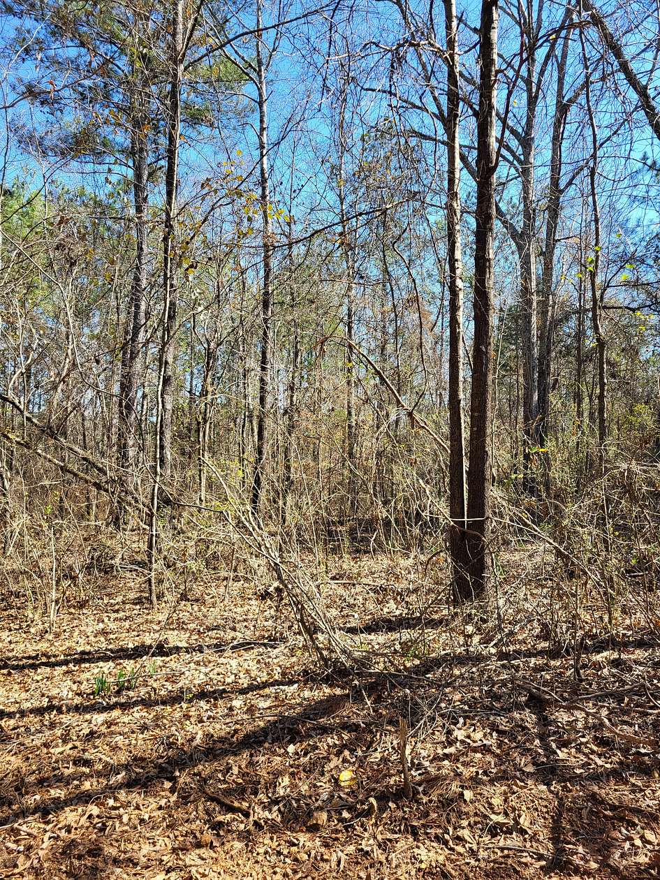 7.8 Acres of Land for Sale in Talladega, Alabama