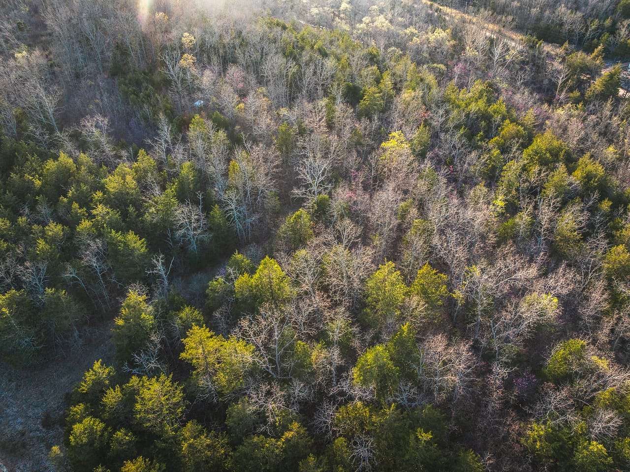 7 Acres of Land for Sale in Cabool, Missouri