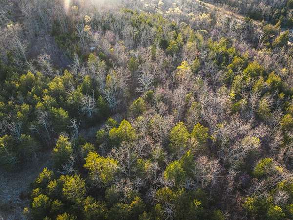 7 Acres of Land for Sale in Cabool, Missouri