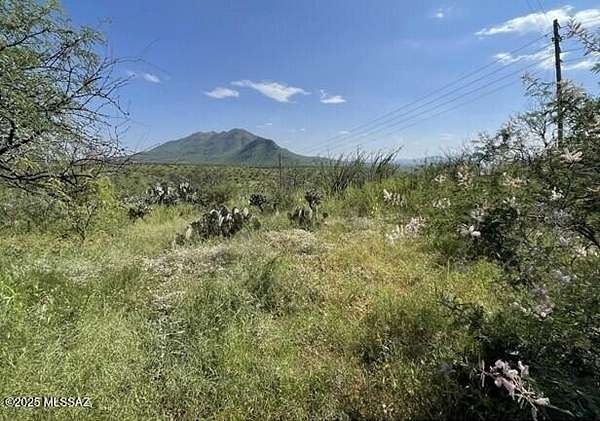 0.75 Acres of Residential Land for Sale in Rio Rico, Arizona