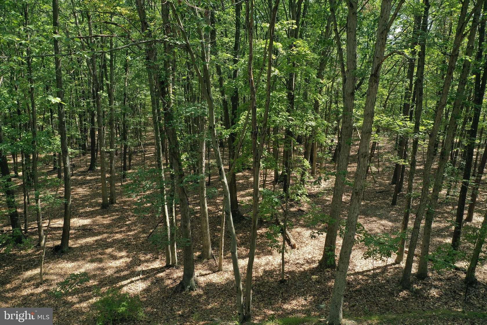 11.5 Acres of Land for Sale in Oldtown, Maryland