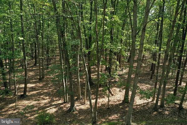 11.5 Acres of Land for Sale in Oldtown, Maryland