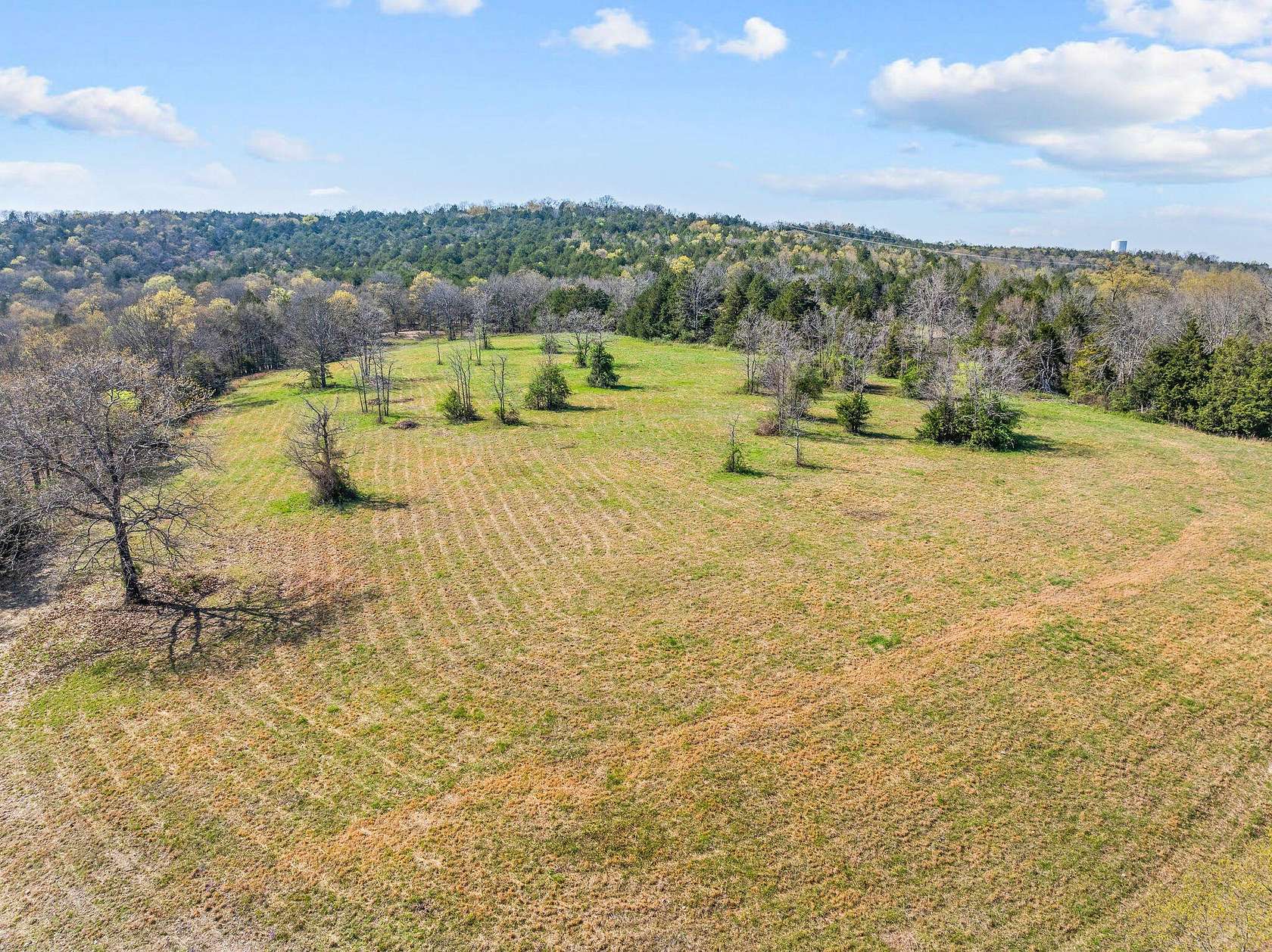 125 Acres of Land for Sale in Kirbyville, Missouri