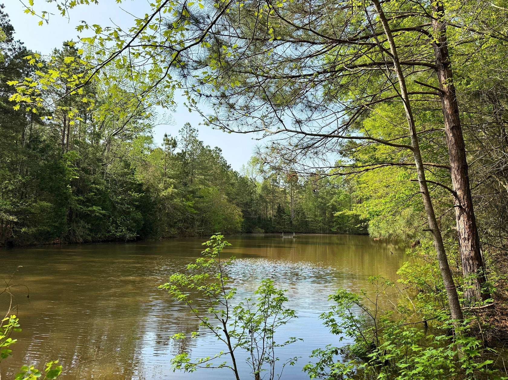 65 Acres of Recreational Land for Sale in Timpson, Texas