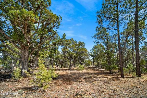 0.85 Acres of Residential Land for Sale in Show Low, Arizona