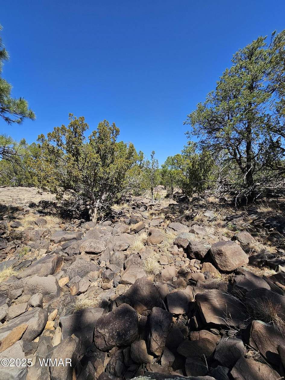 5 Acres of Residential Land for Sale in Vernon, Arizona