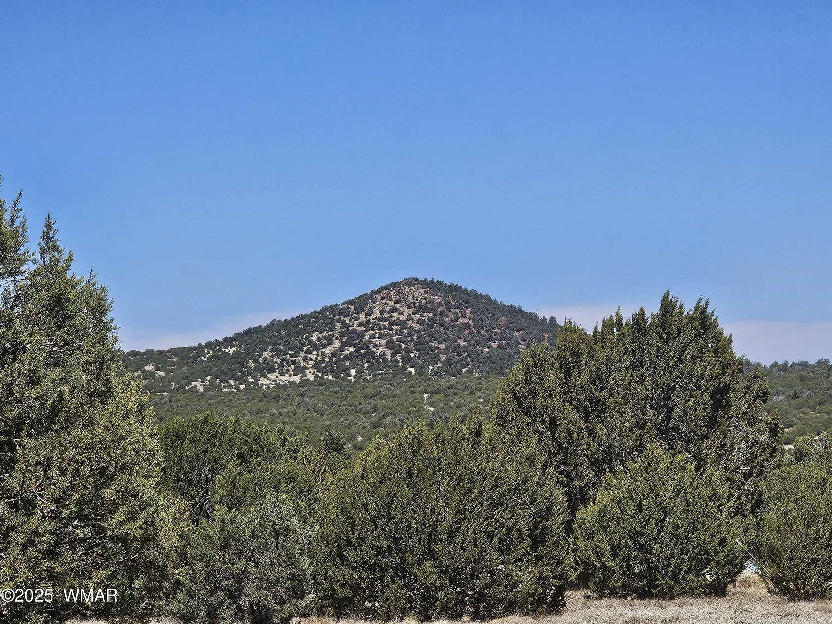 5 Acres of Residential Land for Sale in Vernon, Arizona