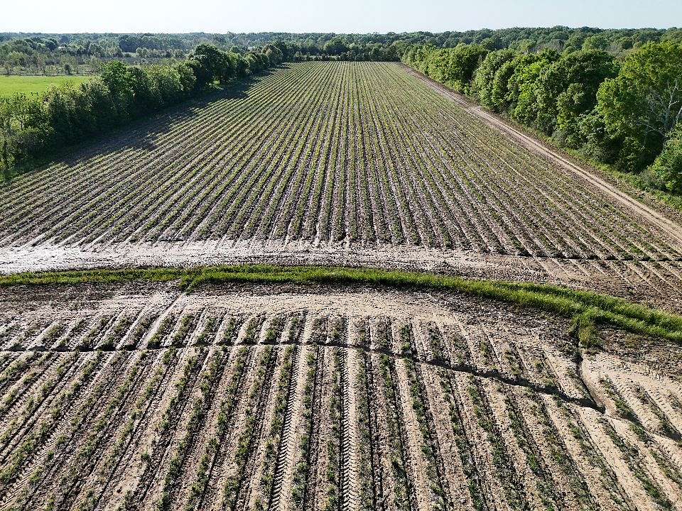 18.7 Acres of Land for Sale in Church Point, Louisiana