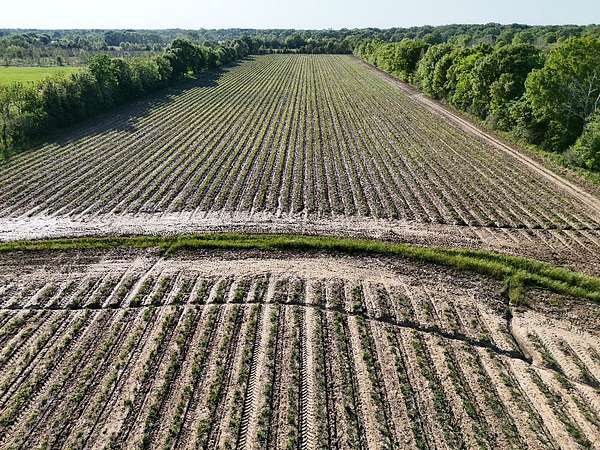 18.7 Acres of Land for Sale in Church Point, Louisiana