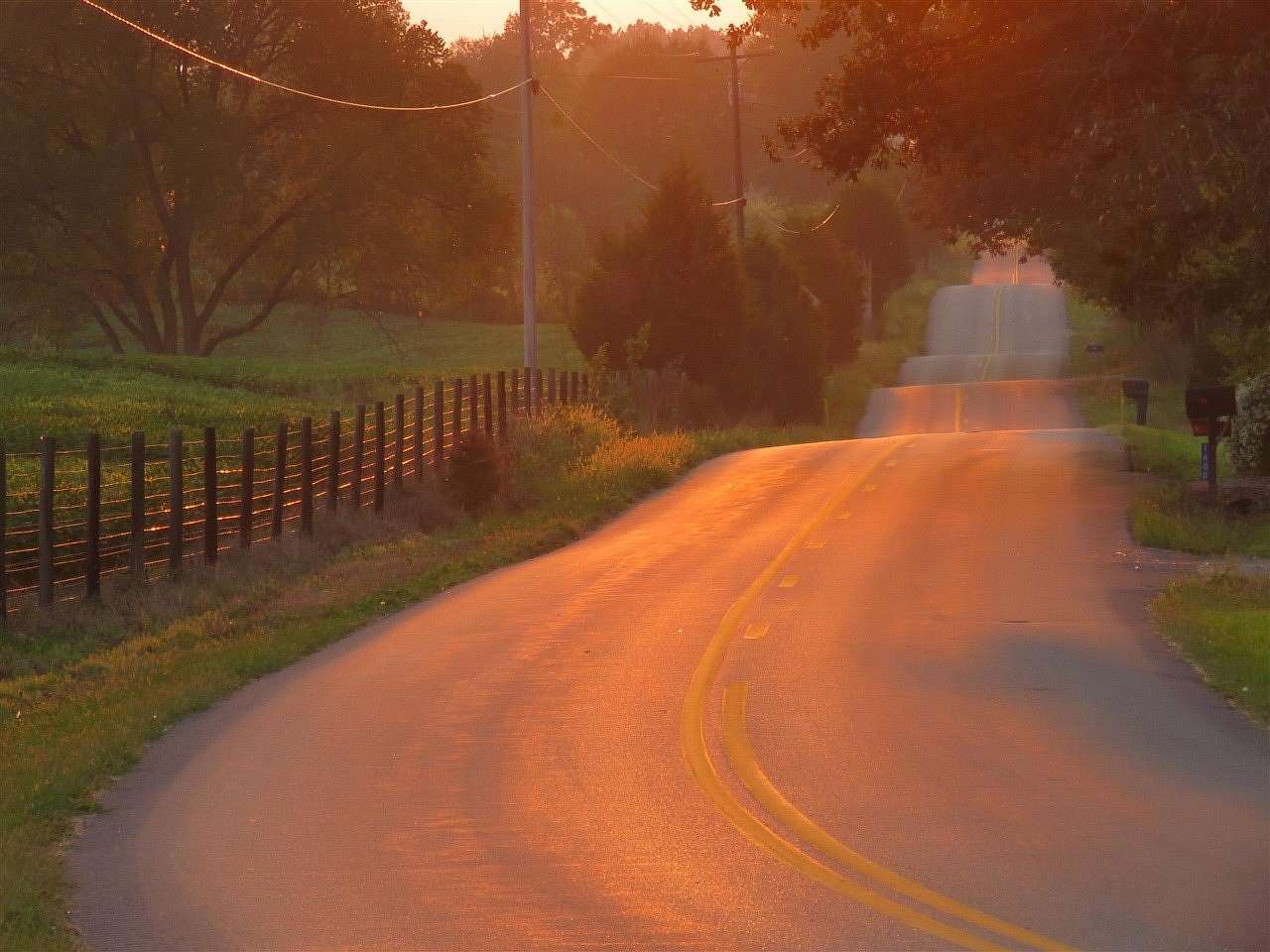 100 Acres of Agricultural Land for Sale in Smiths Grove, Kentucky