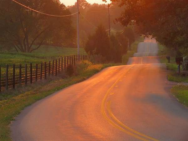 100 Acres of Agricultural Land for Sale in Smiths Grove, Kentucky