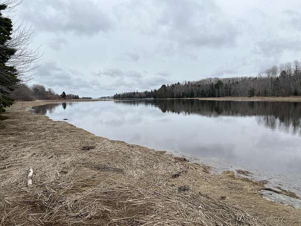 4.29 Acres of Residential Land for Sale in Milbridge, Maine