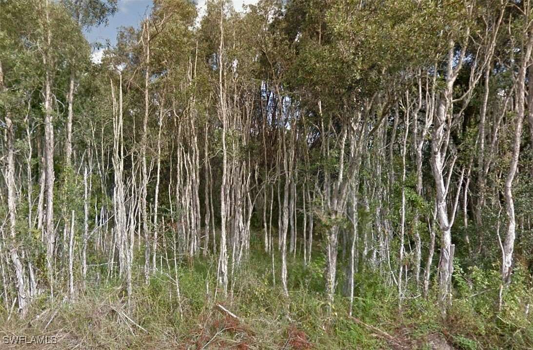 0.25 Acres of Residential Land for Sale in Lehigh Acres, Florida