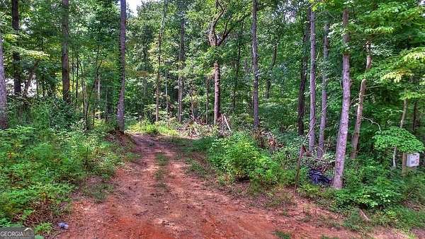 25.4 Acres of Land for Sale in Dallas, Georgia