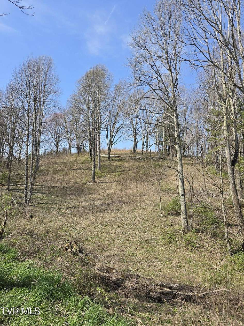 22 Acres of Land for Sale in Roan Mountain, Tennessee