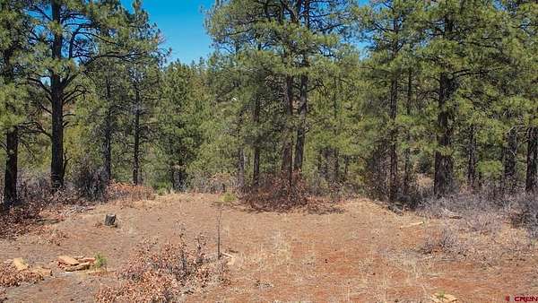 2 Acres of Land for Sale in Pagosa Springs, Colorado