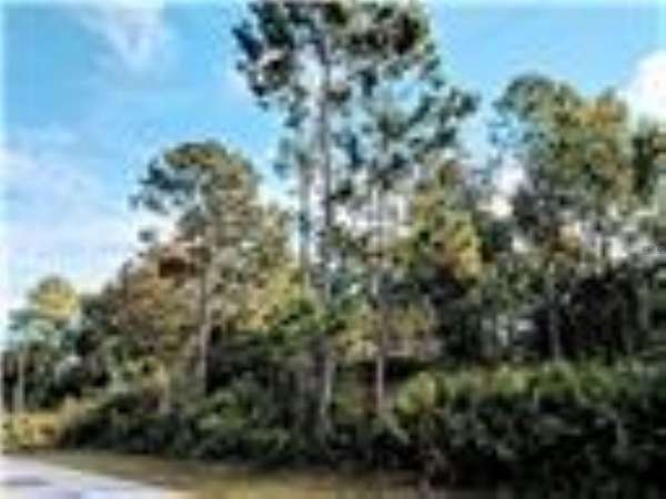 0.19 Acres of Residential Land for Sale in Palm Coast, Florida