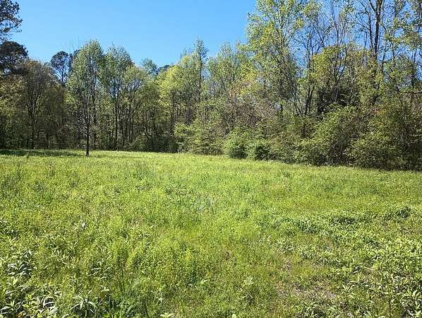 7 Acres of Land for Sale in Chatsworth, Georgia
