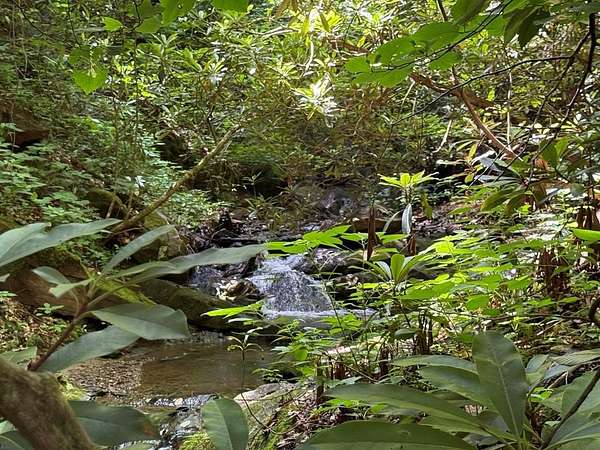 13 Acres of Recreational & Residential Land for Sale in Sylva, North Carolina