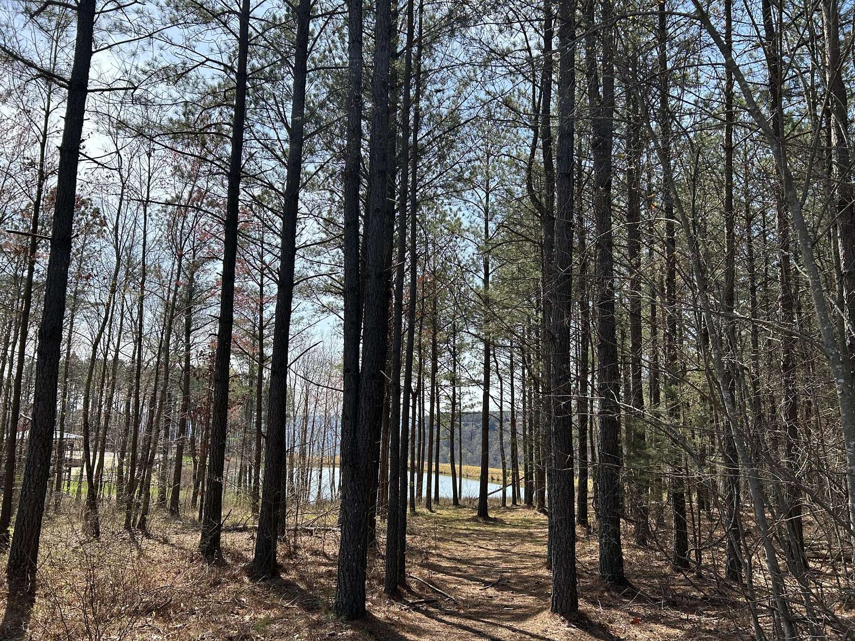 3 Acres of Residential Land for Sale in Jasper, Tennessee