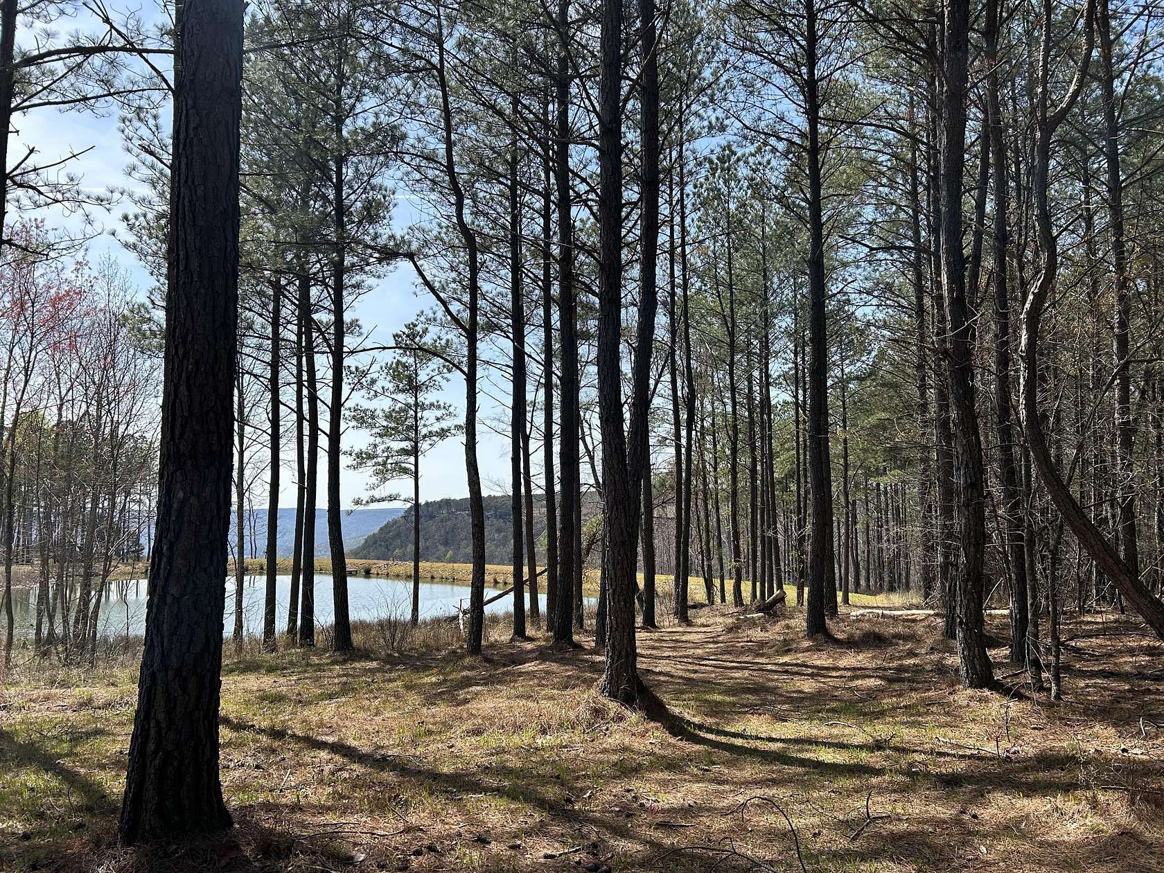 3 Acres of Residential Land for Sale in Jasper, Tennessee