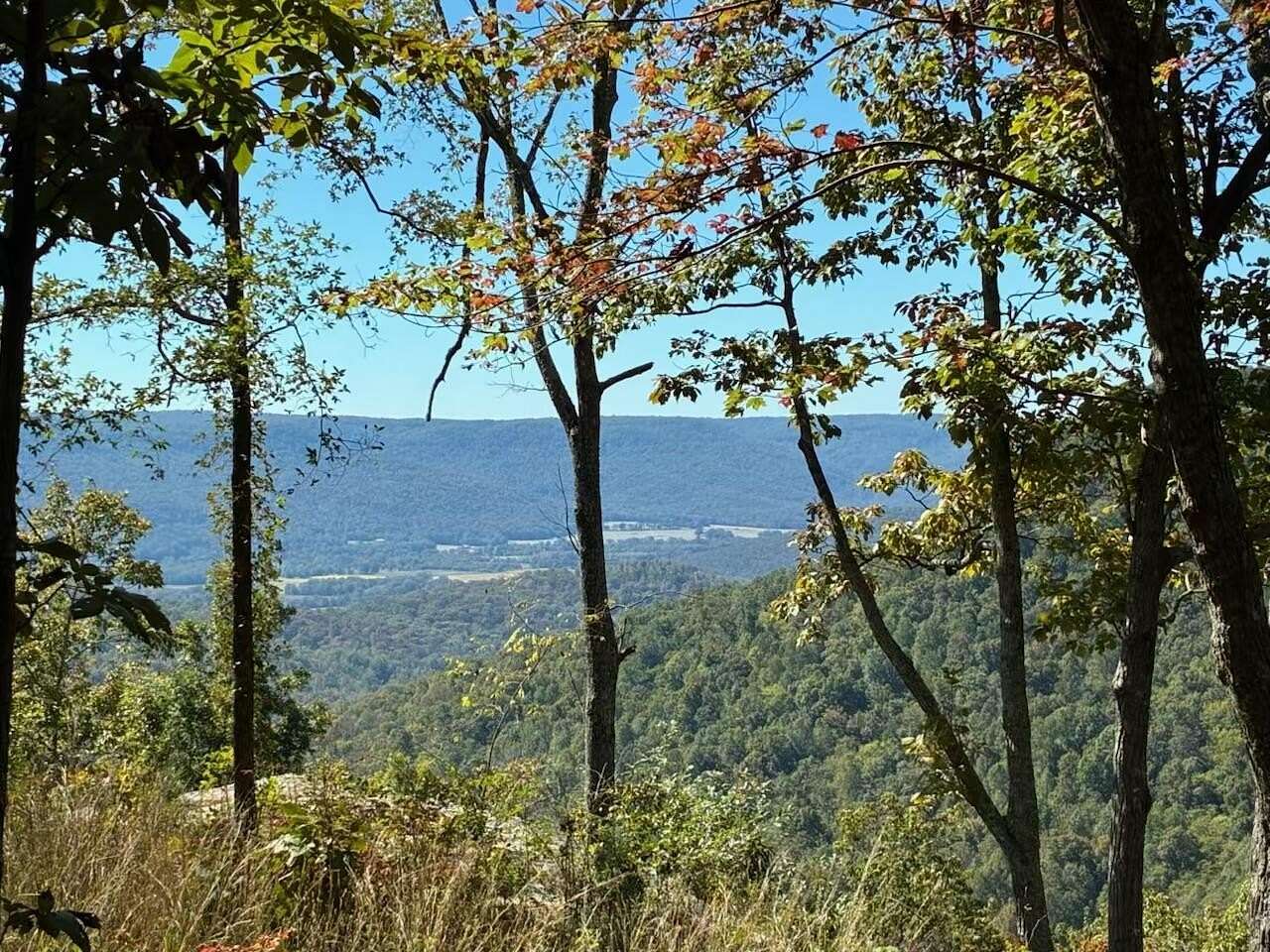 3 Acres of Residential Land for Sale in Jasper, Tennessee