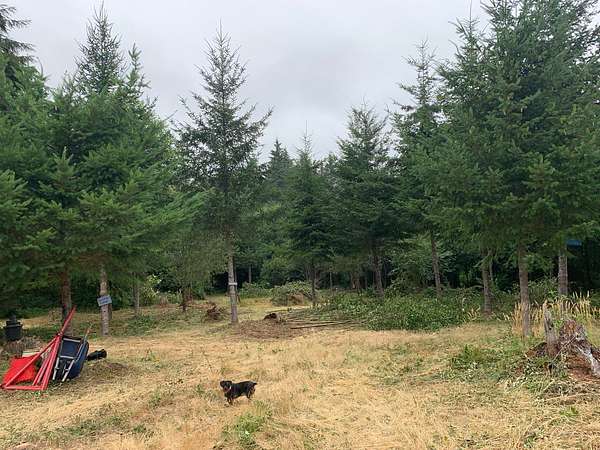 5 Acres of Residential Land for Sale in Longbranch, Washington