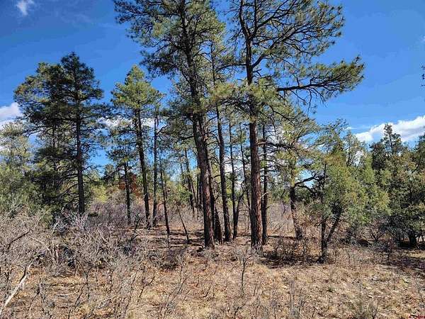 1.12 Acres of Residential Land for Sale in Pagosa Springs, Colorado