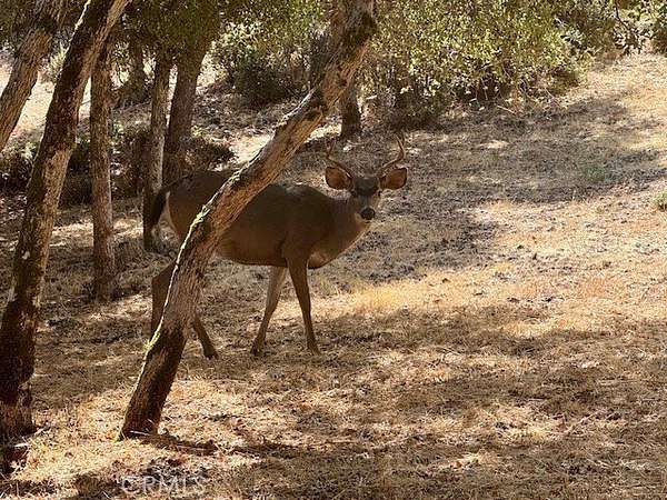 0.26 Acres of Residential Land for Sale in Kelseyville, California