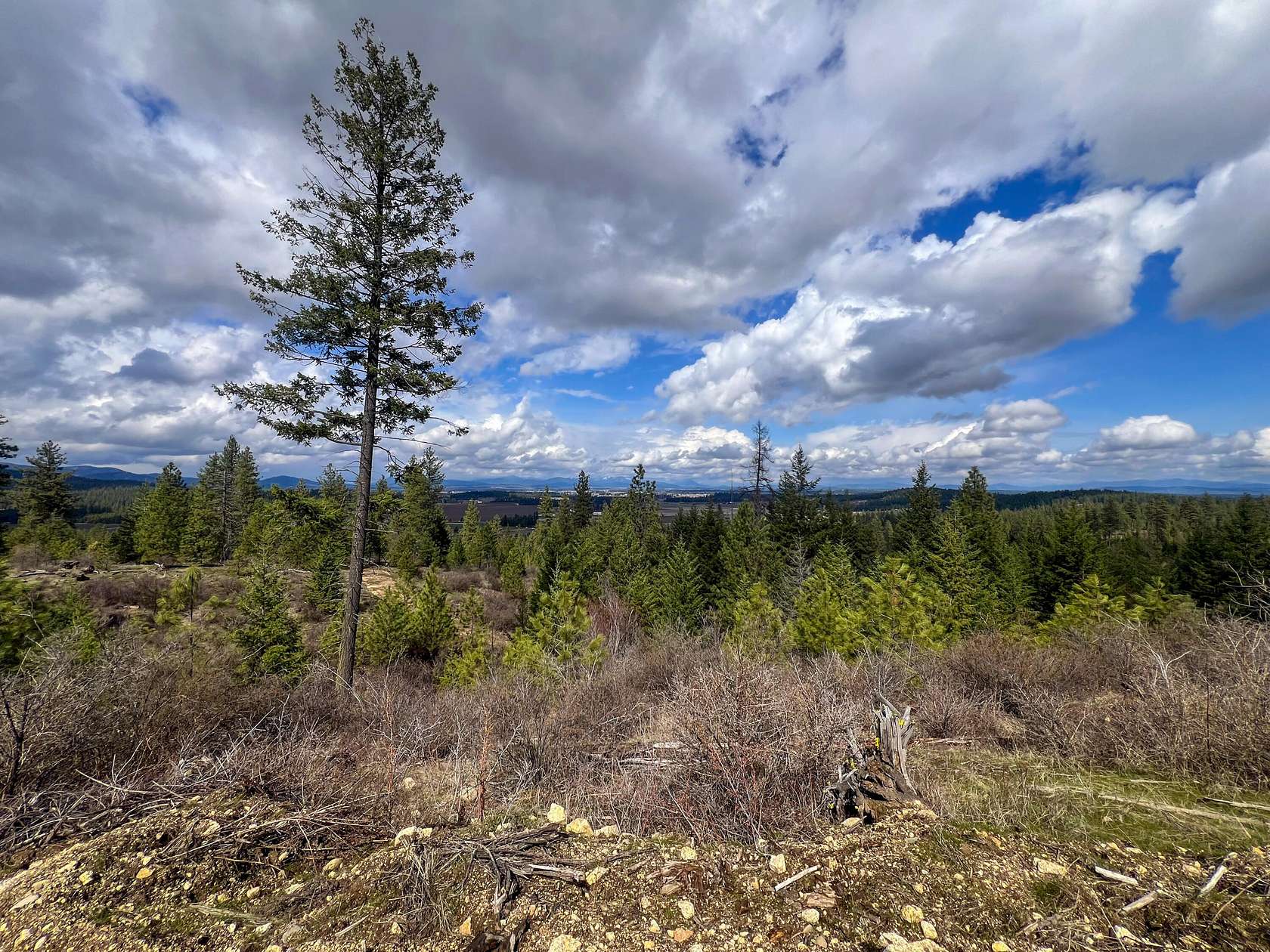 38.1 Acres of Land for Sale in Deer Park, Washington