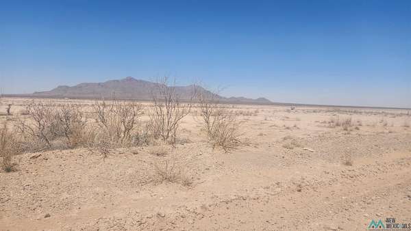 319 Acres of Recreational Land for Sale in Deming, New Mexico