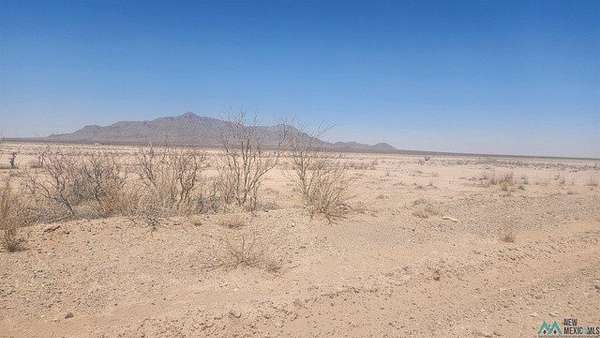 319 Acres of Recreational Land for Sale in Deming, New Mexico