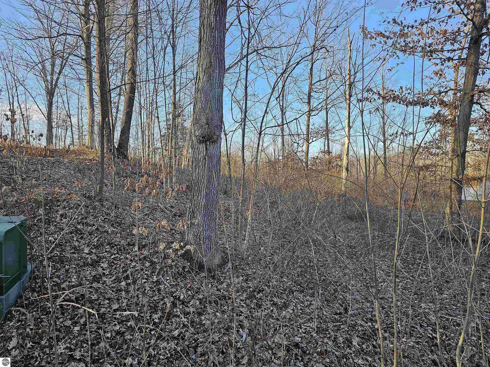 0.32 Acres of Residential Land for Sale in Hale, Michigan