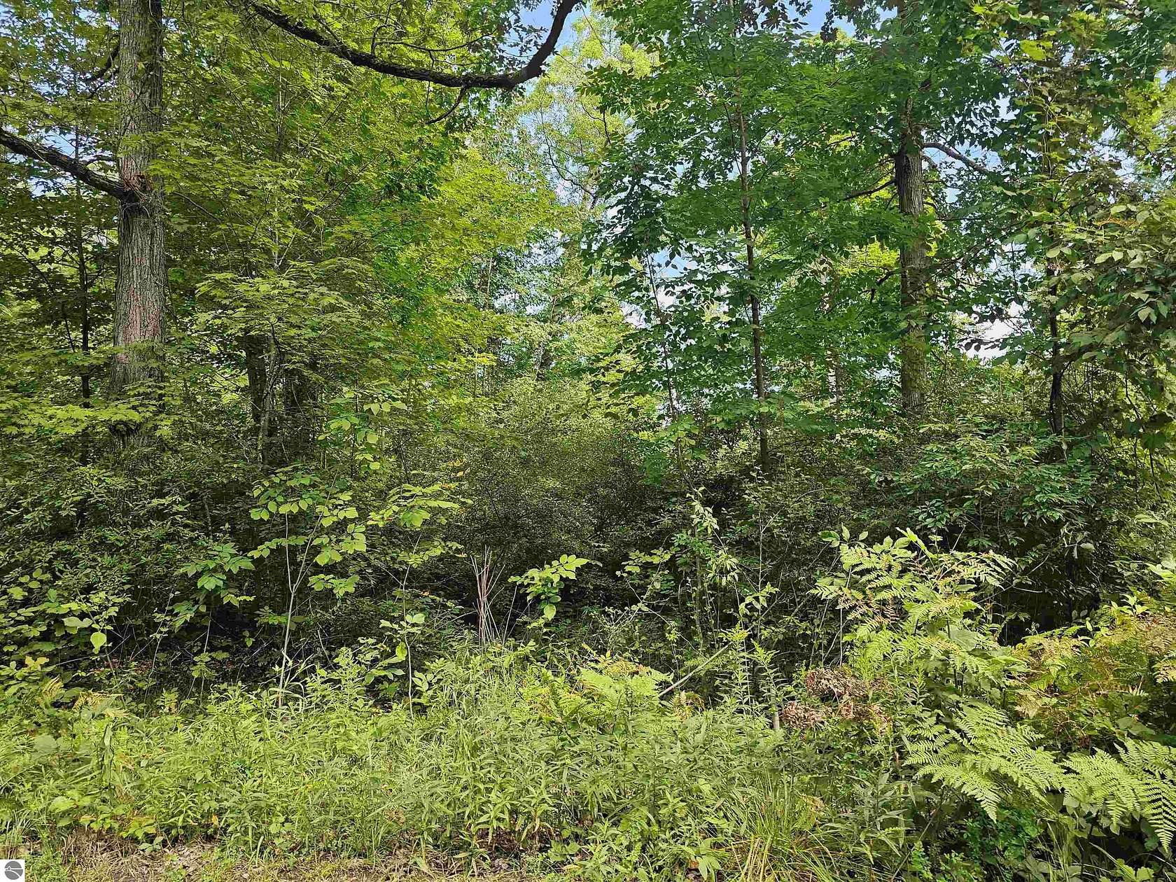 0.32 Acres of Residential Land for Sale in Hale, Michigan